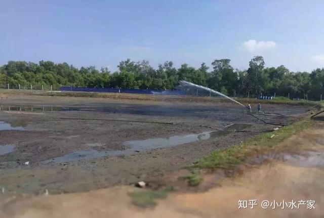 虾壳能补钙吗(虾壳能补钙是真的吗)-硒宝网