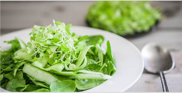 锌硒宝片能补锌吗（锌硒宝可以补肾吗）-硒宝网