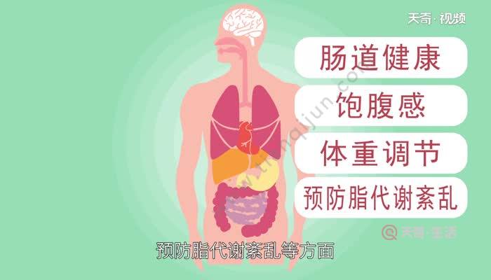 补铁的青菜（青菜补铁吗）-硒宝网