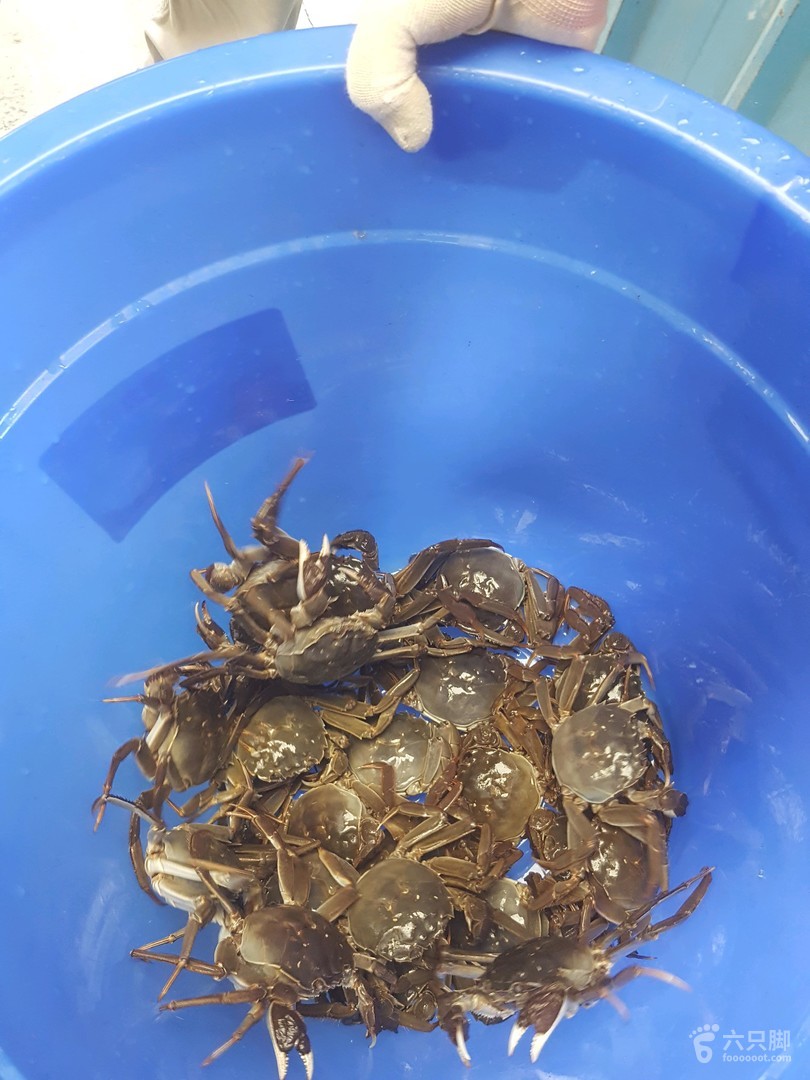 正二价的锌元素(锌的价数)-硒宝网