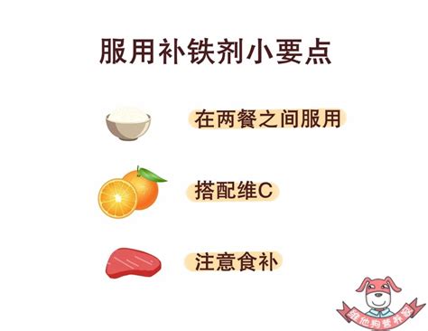 补铁的青菜(补铁的青菜有多少有什么)-硒宝网