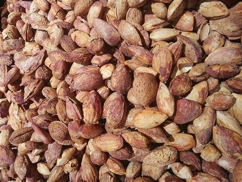 什么坚果补钙（吃什么坚果补钙）-硒宝网