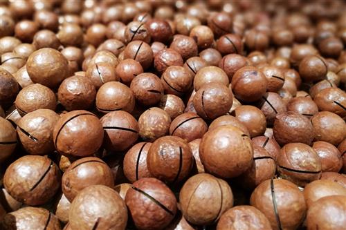 什么坚果补钙（吃什么坚果补钙）-硒宝网