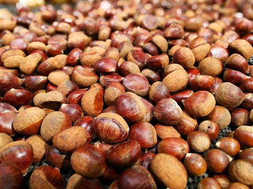 什么坚果补钙（吃什么坚果补钙）-硒宝网