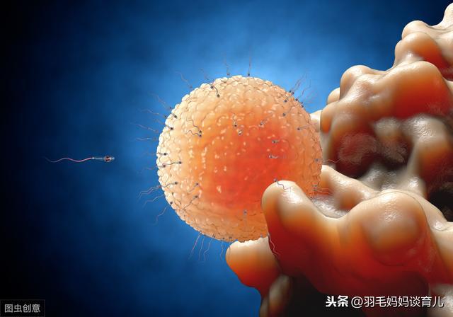 锌硒宝管不液化吗(锌硒液有什么好处)-硒宝网