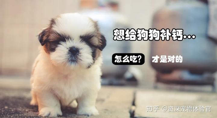 吃肉能补钙吗(吃啥补钙食谱)-硒宝网