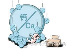 吃肉能补钙吗(吃啥补钙食谱)-硒宝网