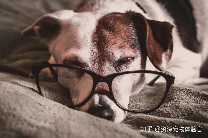 吃肉能补钙吗(吃啥补钙食谱)-硒宝网