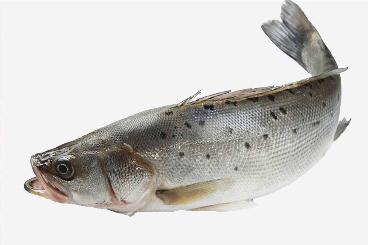 锌硒宝片会过敏么（锌硒宝片过量）-硒宝网