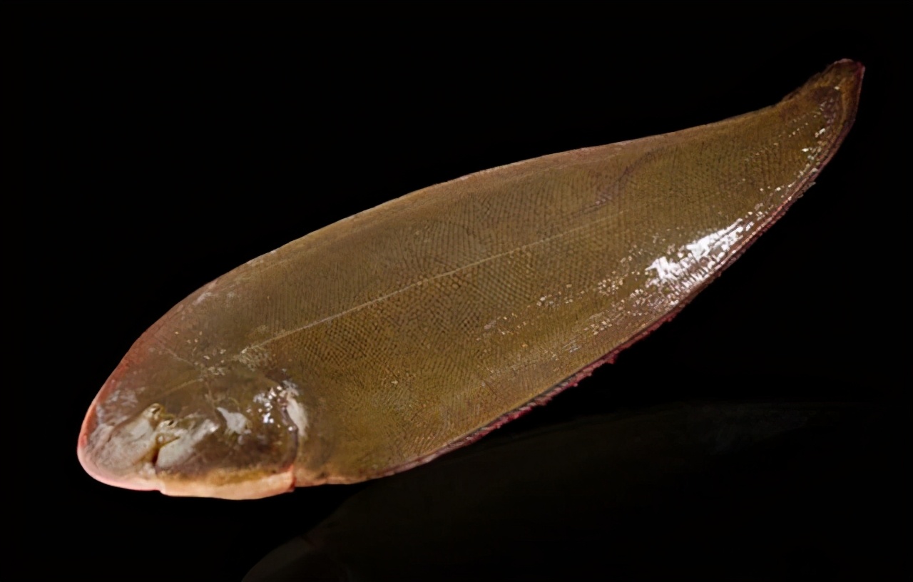 锌硒宝片会过敏么（锌硒宝片过量）-硒宝网