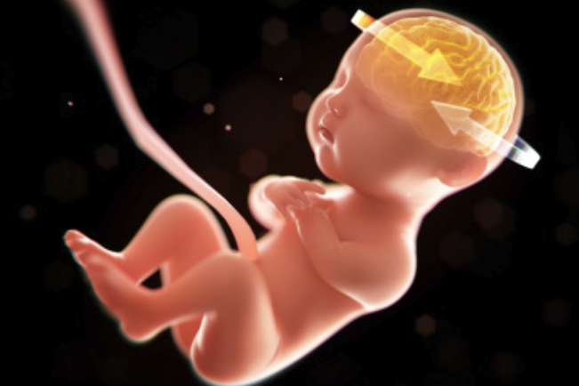 dha可以补钙吗(补钙可以长高么)-硒宝网