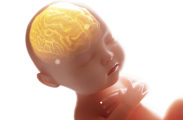 dha可以补钙吗(补钙可以长高么)-硒宝网