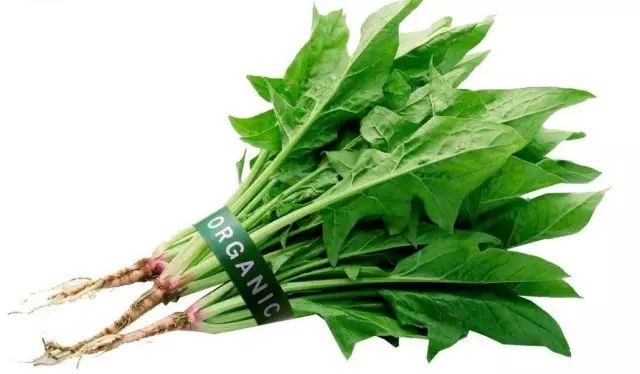 六个月婴儿补钙吃什么钙剂好(婴儿吃钙剂多久见效)-硒宝网