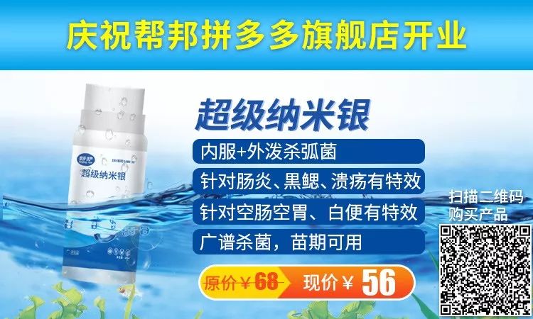 大闸蟹补钙吗（大闸蟹补钙吃什么）-硒宝网