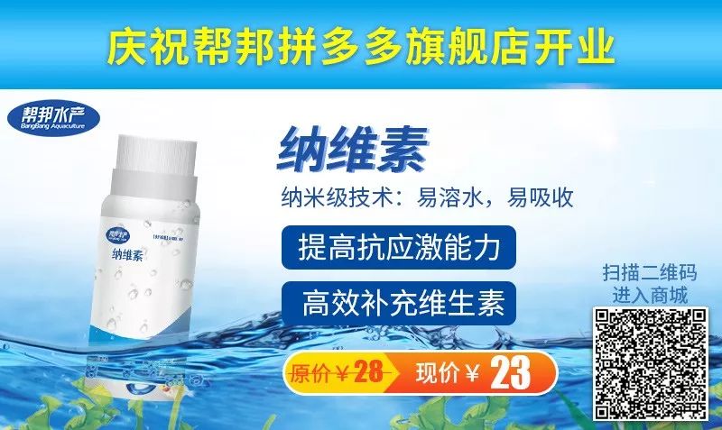 大闸蟹补钙吗（大闸蟹补钙吃什么）-硒宝网