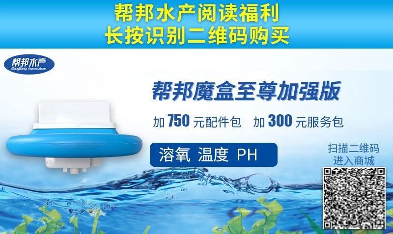 大闸蟹补钙吗（大闸蟹补钙吃什么）-硒宝网