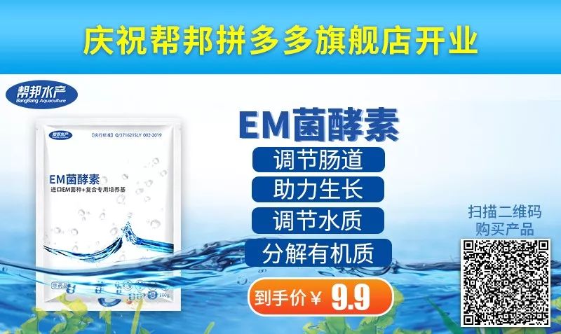 大闸蟹补钙吗（大闸蟹补钙吃什么）-硒宝网