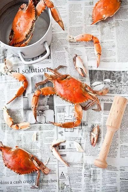 大闸蟹补钙吗（大闸蟹补钙效果好吗）-硒宝网