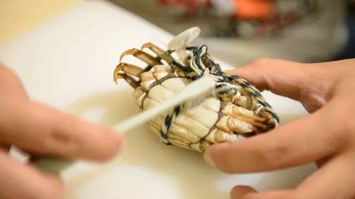 大闸蟹补钙吗（大闸蟹补钙效果好吗）-硒宝网