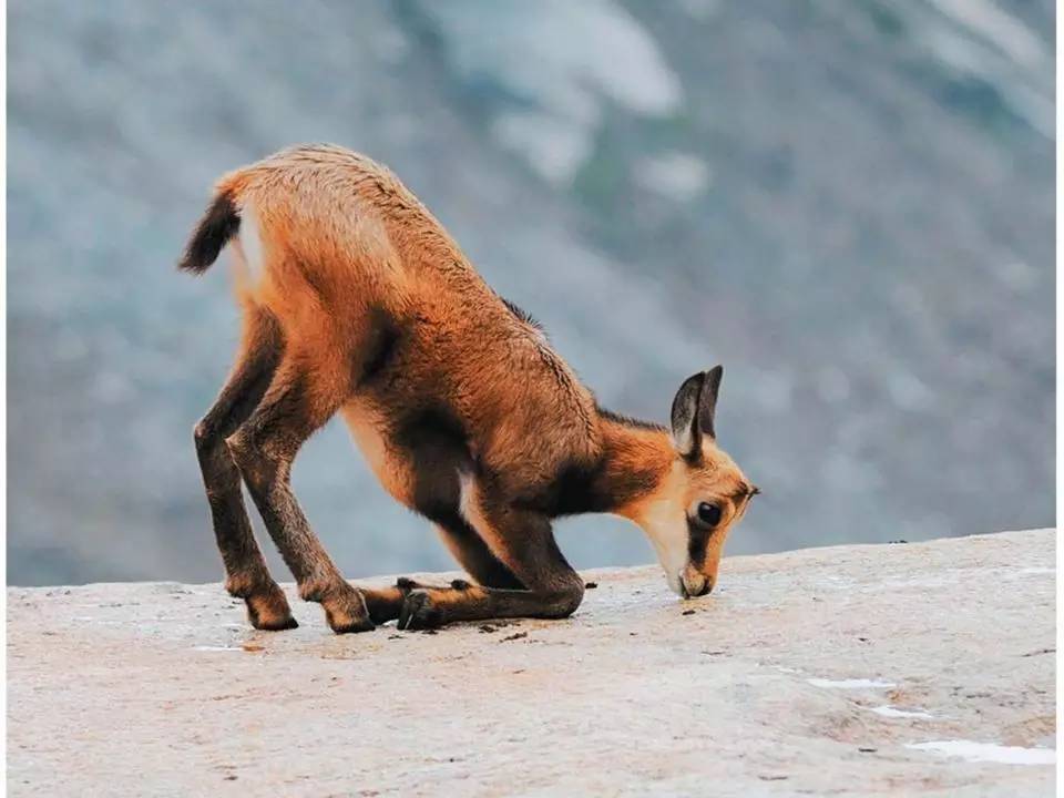 钠氯低怎么补（钠氯低症状）-硒宝网