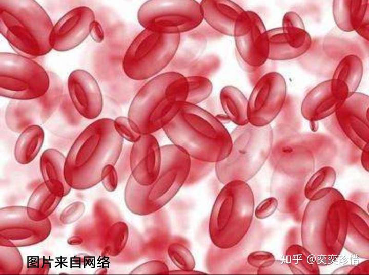 锌硒宝每片含铁吗（锌硒宝片含锌量是多少）-硒宝网