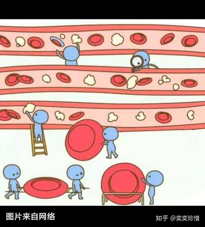 锌硒宝每片含铁吗（锌硒宝片含锌量是多少）-硒宝网