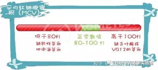 吃啥补铁快（吃补铁药便秘了怎么办）-硒宝网