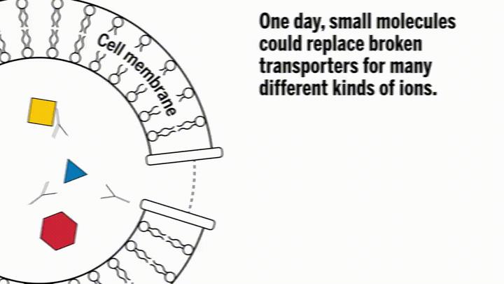 吃啥补铁快（吃补铁药便秘了怎么办）-硒宝网