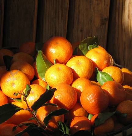 草莓补铁吗(草莓补铁补血吗)-硒宝网