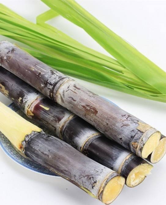 草莓补铁吗(草莓补铁补血吗)-硒宝网