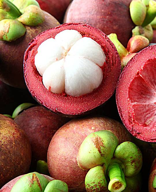 草莓补铁吗(草莓补铁补血吗)-硒宝网