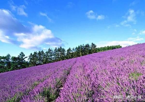 吃锌硒宝片副作用(口服锌硒宝片)-硒宝网