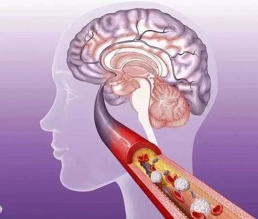 吃锌硒宝片副作用(口服锌硒宝片)-硒宝网