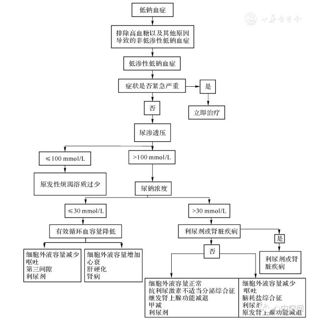 电解质钠低怎么补(电解质里钠低)-硒宝网