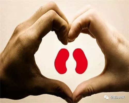 水果补铁（水果补铁之王）-硒宝网