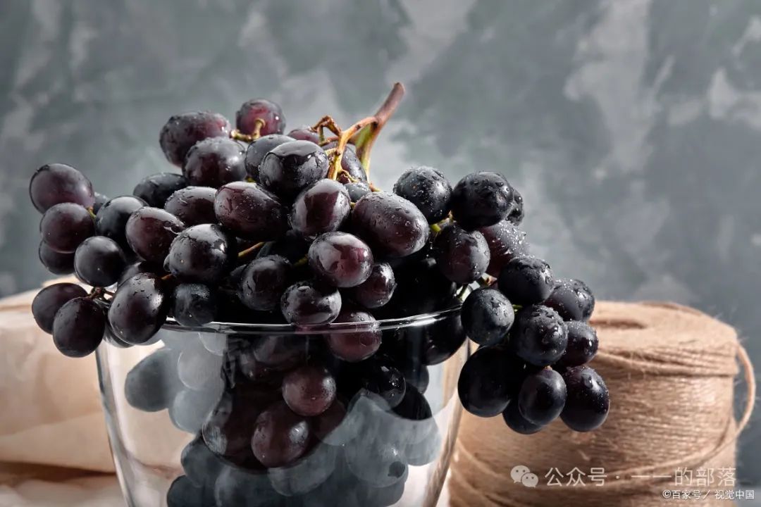 水果补铁（吃什么水果补铁）-硒宝网