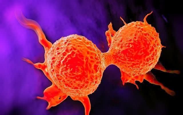 肝移植病人补硒元素（肝移植可以吃维生素吗）-硒宝网