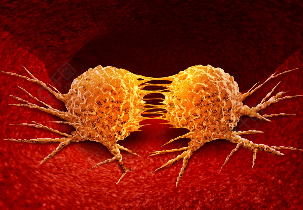 肝移植病人补硒元素（肝移植可以吃维生素吗）-硒宝网