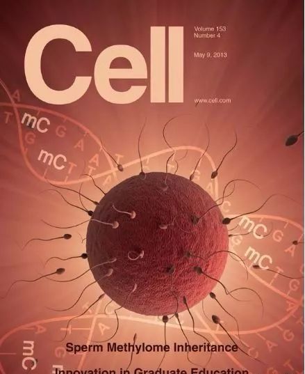 细胞微量元素（细胞微量元素有哪些种类）-硒宝网