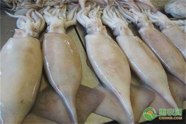 怎样选购补硒产品呢(补硒的产品买什么最好)-硒宝网