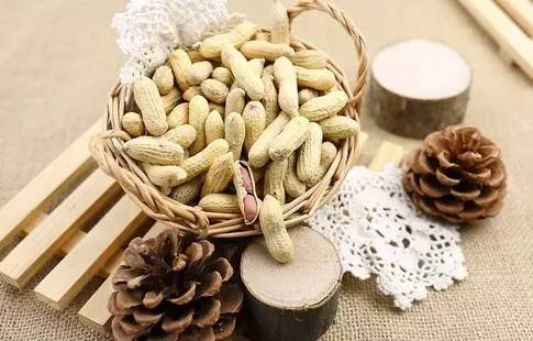 补硒巴西坚果能吃吗(补硒的坚果)-硒宝网