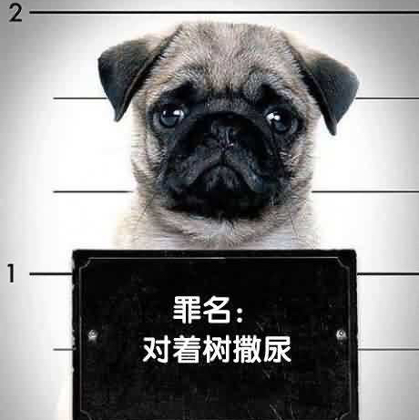 微量元素是(微量元素是抽血还是扎手指)-硒宝网