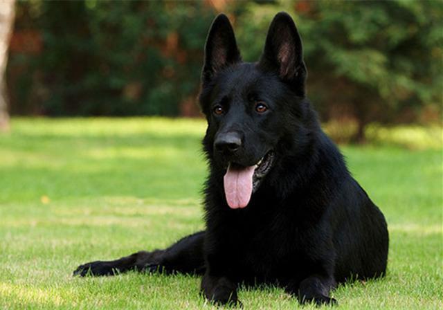 微量元素是(微量元素是抽血还是扎手指)-硒宝网