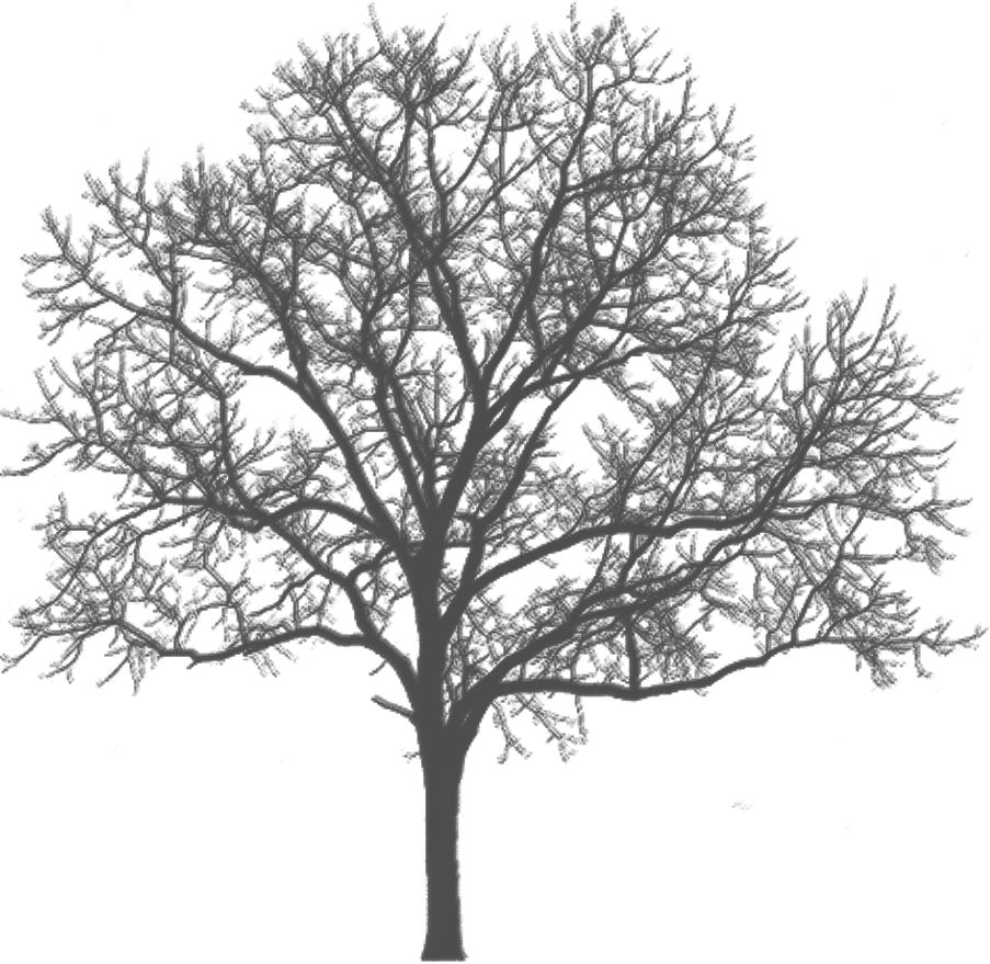 微量元素有哪几种(微量元素种类)-硒宝网