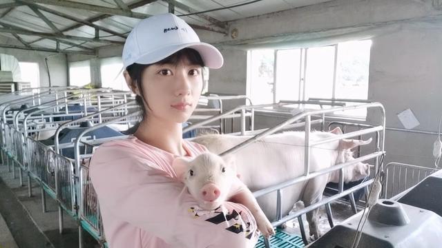 小猪产下来几天补硒（仔猪补硒八天可以吗）-硒宝网