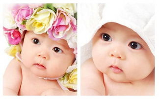 补钙哪个牌子的钙最好（钙的牌子的最好）-硒宝网