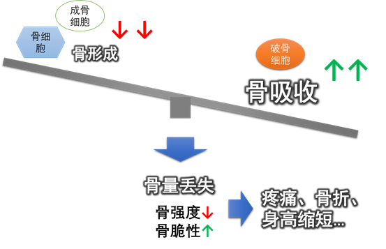 补钙 维生素（哪个维生素补钙）-硒宝网