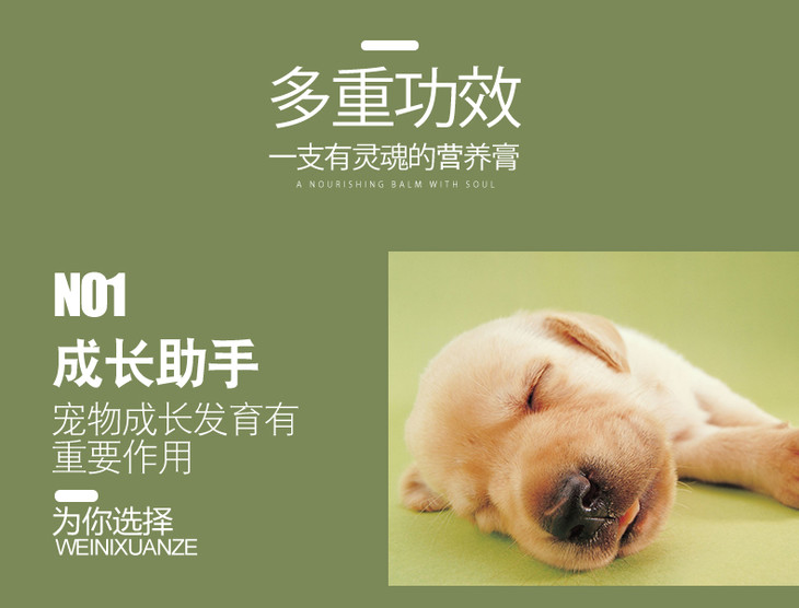 缺微量元素应该怎么补（缺微量补元素应该吃什么药）-硒宝网