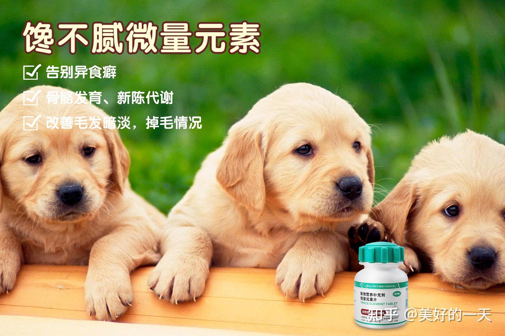 缺微量元素应该怎么补（缺微量补元素应该吃什么药）-硒宝网