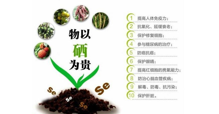 补硒对血糖有帮助吗(补硒对血糖高有好处吗)-硒宝网